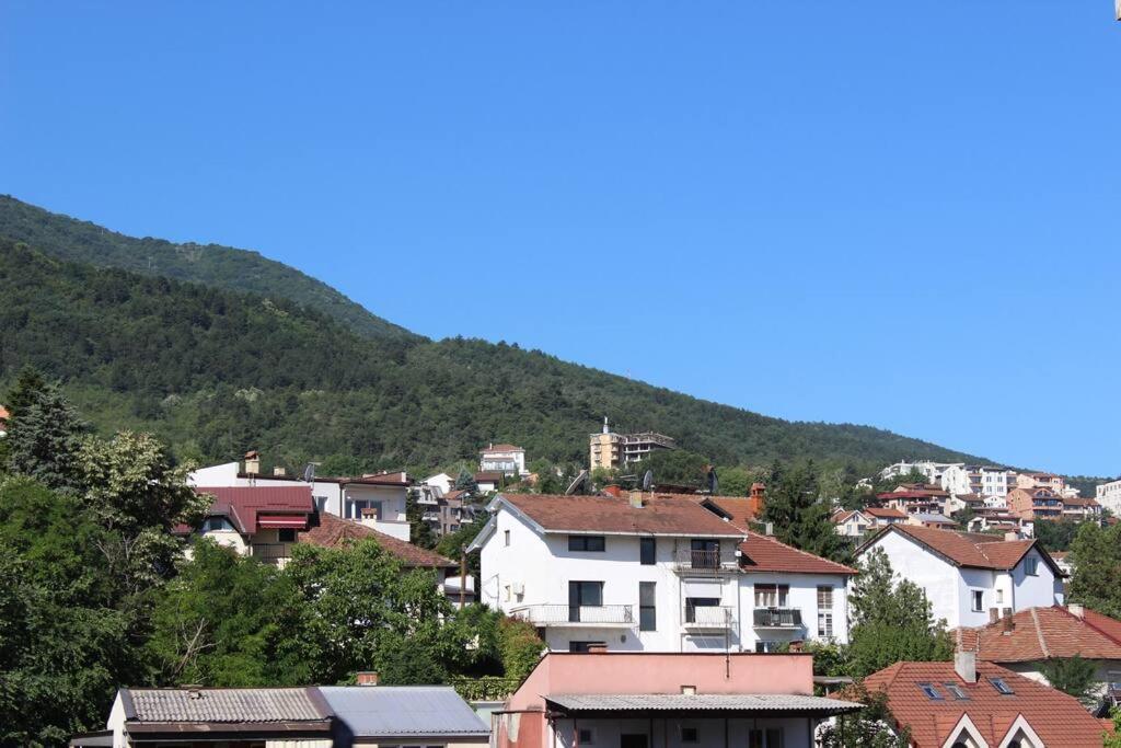 Apartament Cozy & Pet-friendly Retreat